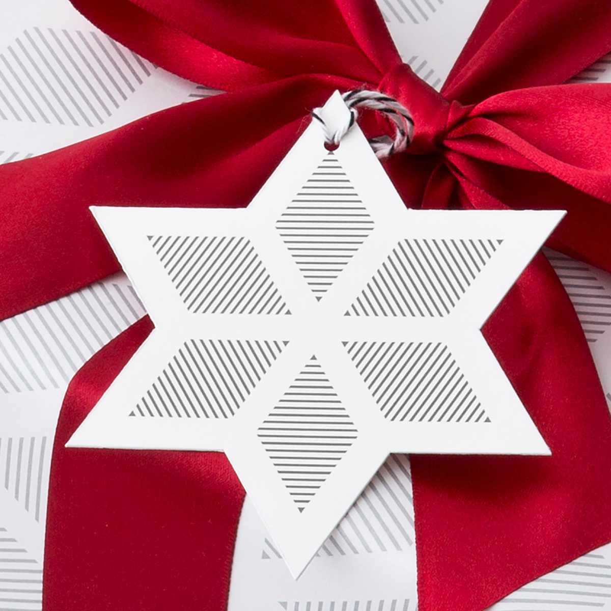 Silver Holiday Star Gift Tag