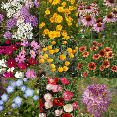 Garden Sprinkles | Honeybee | Pollinators - Periwinkle Rose
