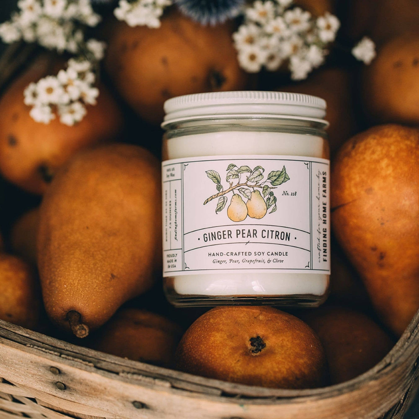 Soy Candle, Ginger Pear Citron - Periwinkle Rose