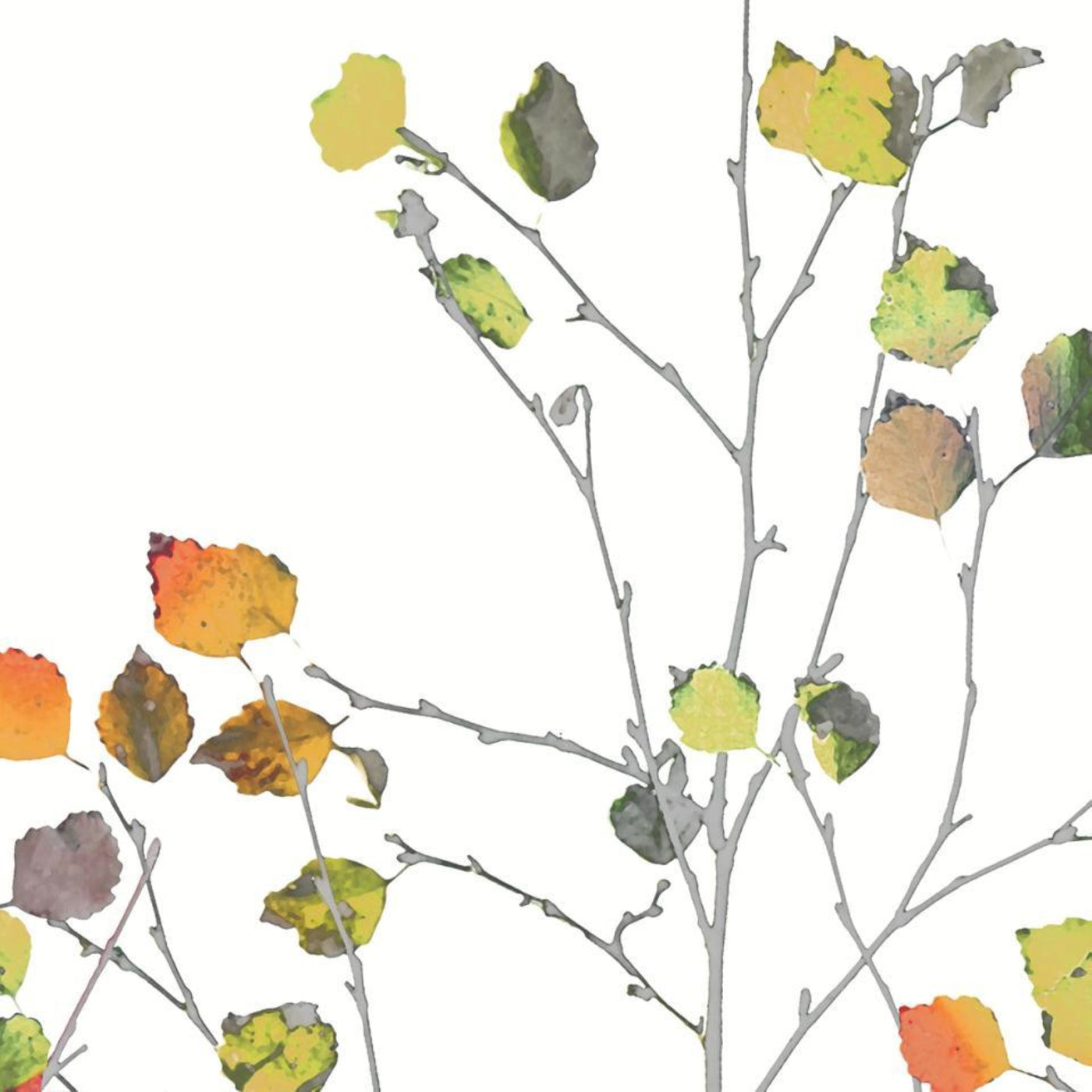 Minimalist Autumn Beverage Napkins