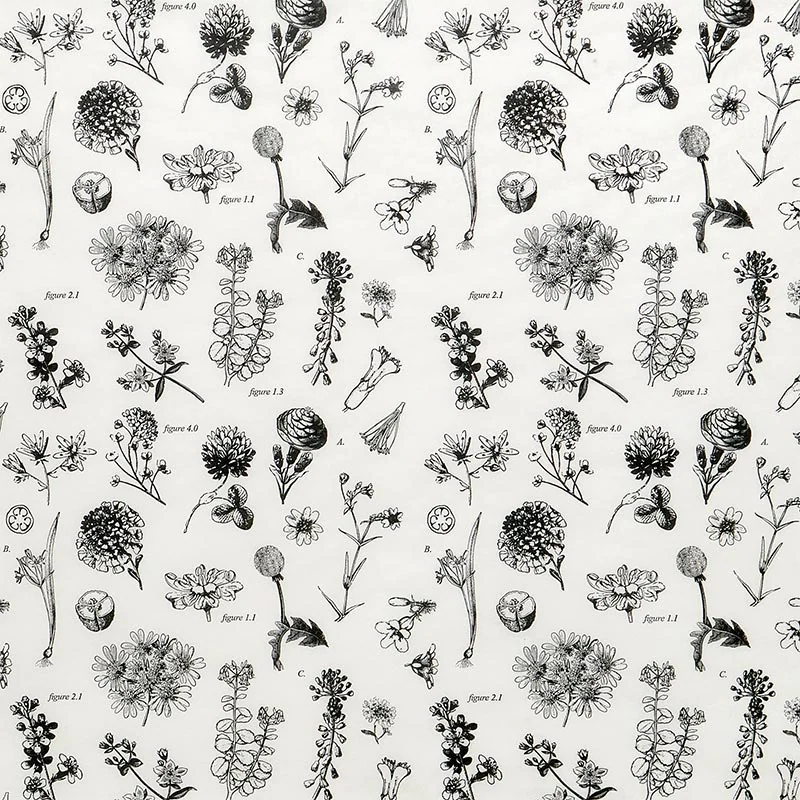 Botanical Bonanza tissue paper (20"x30")