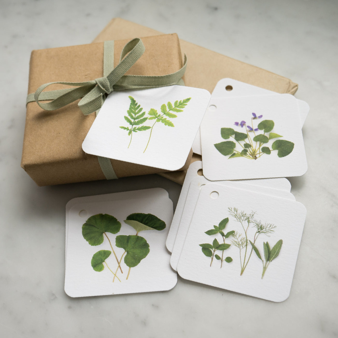 Bottle Branch Foliage and Greens Gift Tags